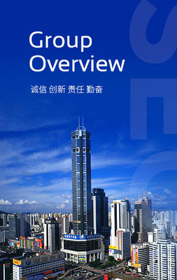 深圳投资管理集团 引领湾区发展的国有资本投资运营平台