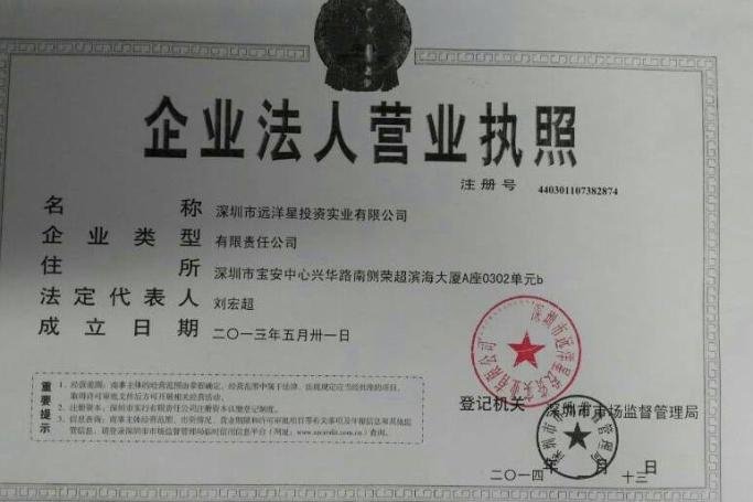 深圳市远洋星电子商务 资本投资咨询服务解析