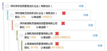 深圳茂华投资管理合伙企业（有限合伙）与深圳投资咨询的深度融合与发展